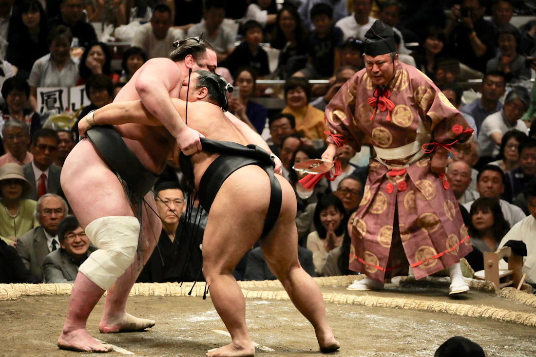 Dos luchadores de sumo en combate